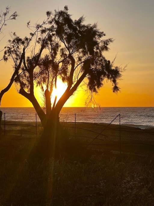 Lambou Beach Sunset Σορωνή Εξωτερικό φωτογραφία
